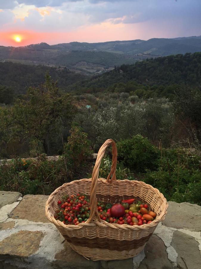 Podere Campolungo Greve in Chianti Εξωτερικό φωτογραφία